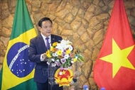 Vietnam highlights diplomatic gains, growing ties with Brazil, Guyana